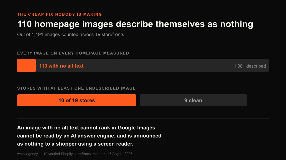 Chart showing 110 of 1,491 homepage images across 19 Shopify storefronts carried no alt text, affecting 10 of the 19 stores.
